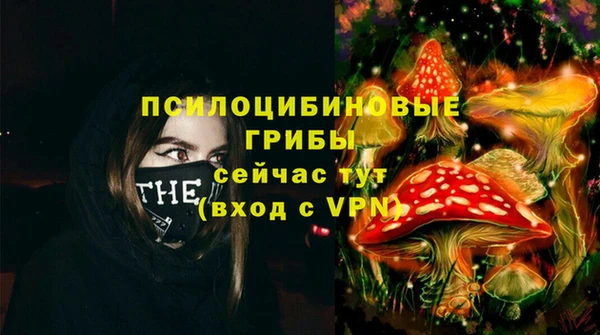 дурь Костерёво